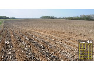 Property photo 75 - Land Auction 1035 Acres In 16 tracts - Farm Land - Sullivan Co. Indiana & Clark Co., Illinois